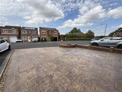 Picture 20